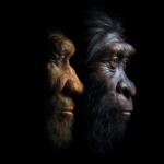 How natural history museums inspire discovery